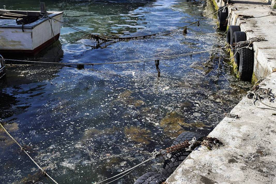 İstanbul'un o sahilinde yürüyüş yapanlar gözlerine inanamadı! Bitti denmişti, meğer yeniden başlıyormuş 5